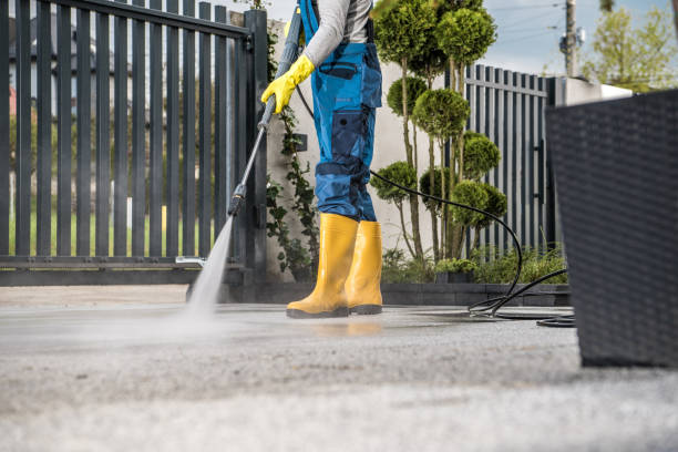 Best Roof Pressure Washing  in Jamesburg, NJ